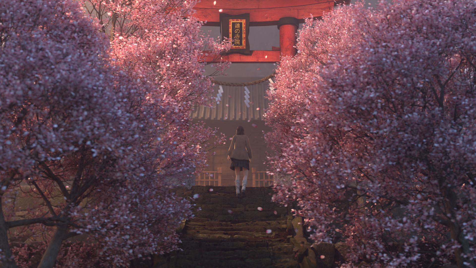 Render 6